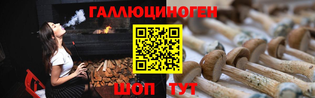 Ржев  Галлюциногенные грибы Cubensis  Галлюциногенные грибы Cubensis  Вход с VPN 